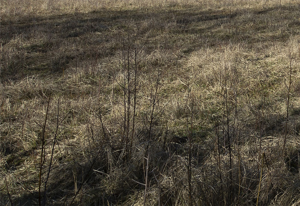 in het voorbijgaan | triptiek I | links | fine art print | 2024 | 30x20 cm