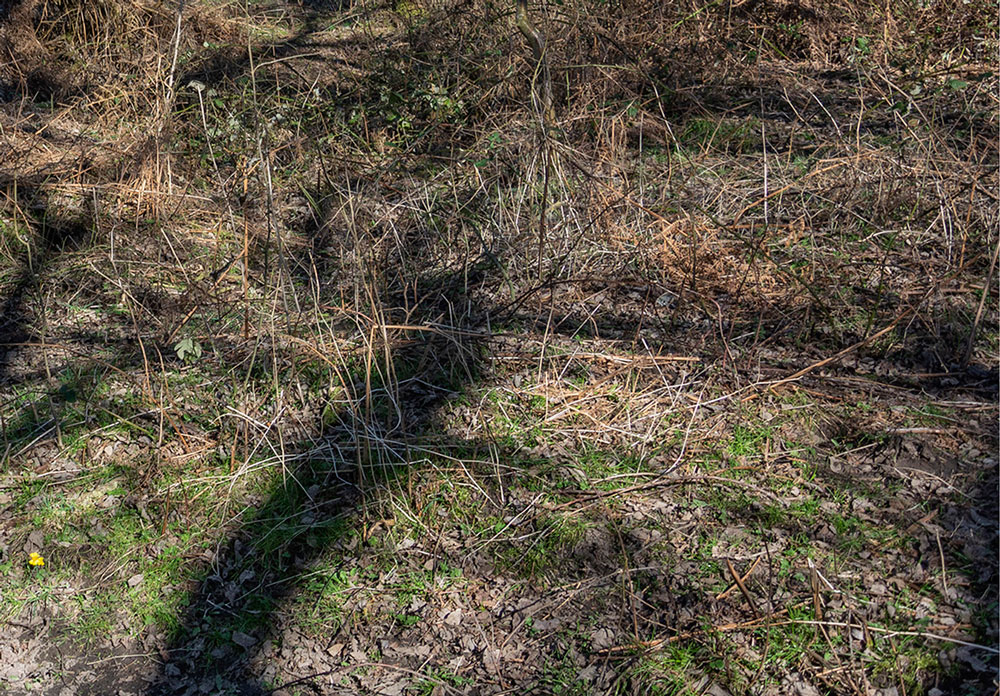 in het voorbijgaan | triptiek II | rechts | fine art print | 2024 | 30x20 cm