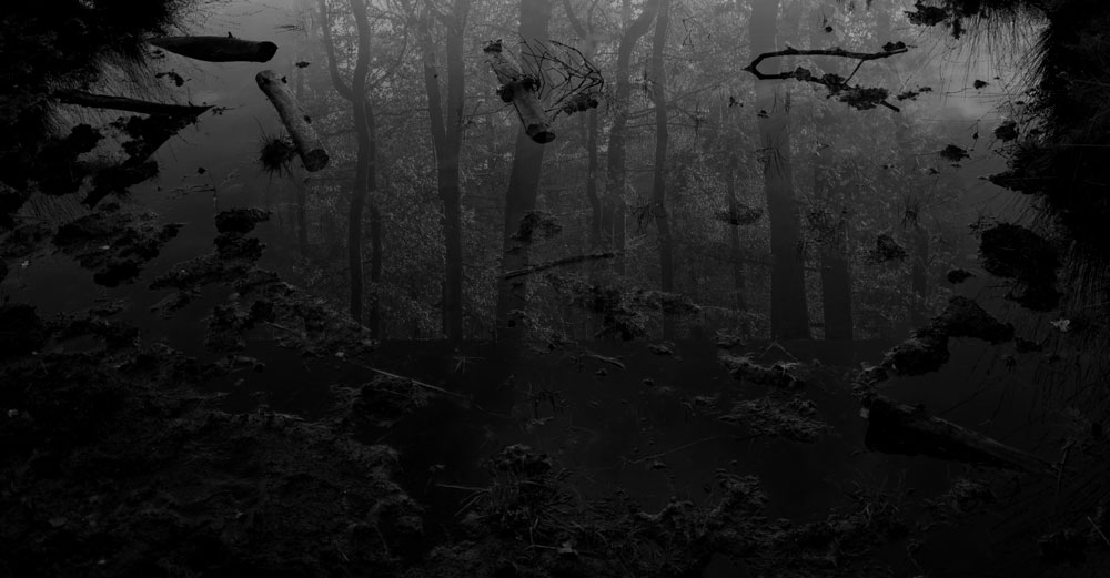 verschijning | 2020 | fine art print A/P | 45x30 cm 