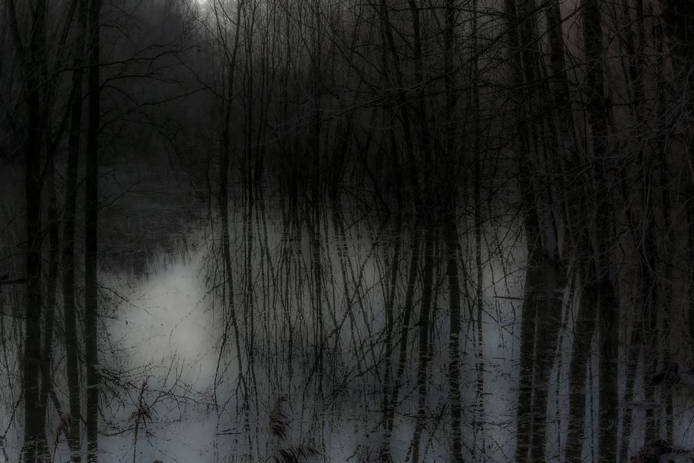 uiterwaard Waal bij hoogwater | 2023 | fine-art print | 40x30cm 