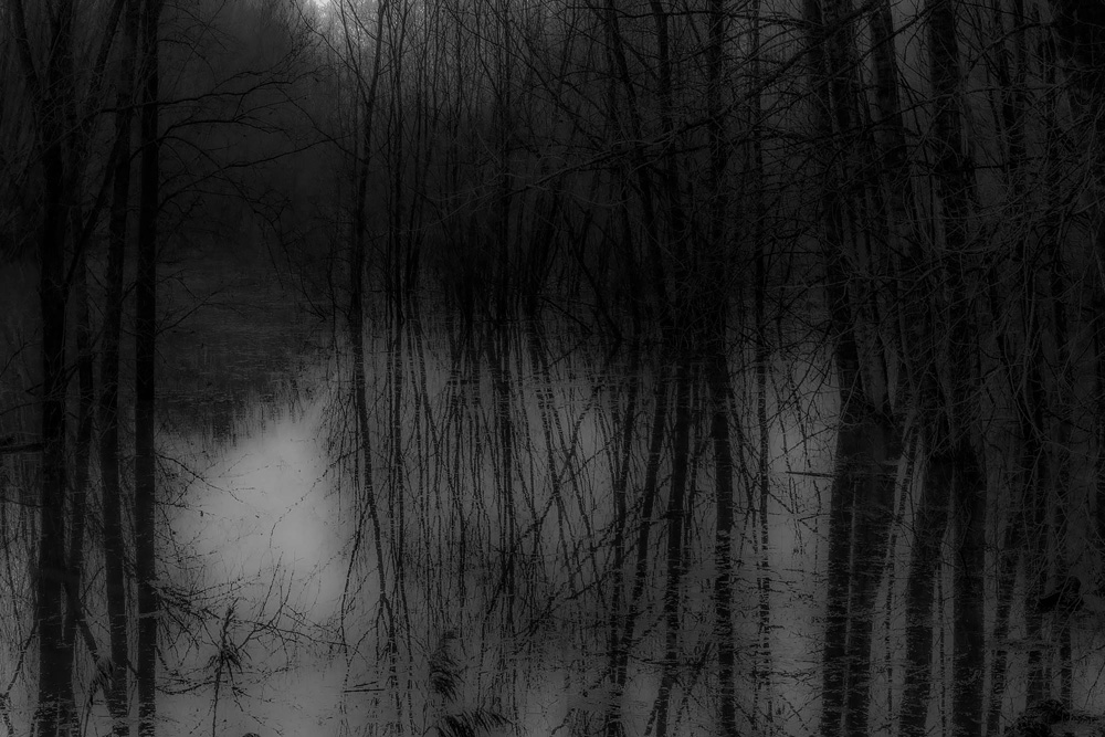 uiterwaard Waal bij hoogwater  z/w | 2023 | fine-art print | 40x30cm 