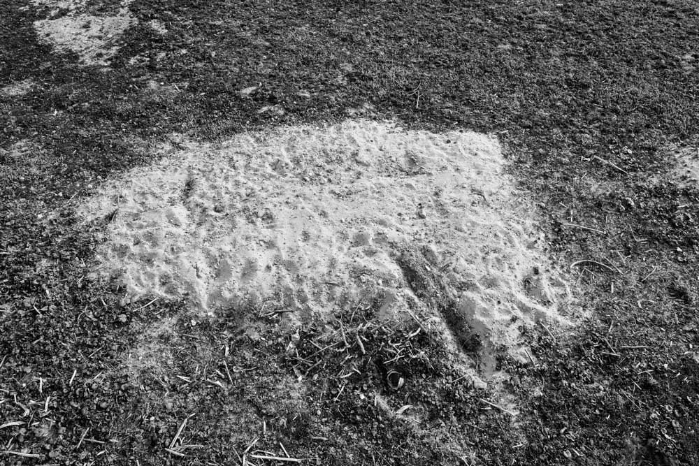 sporen en tekens 8 | 2026 | fine art print | 45 x 30cm