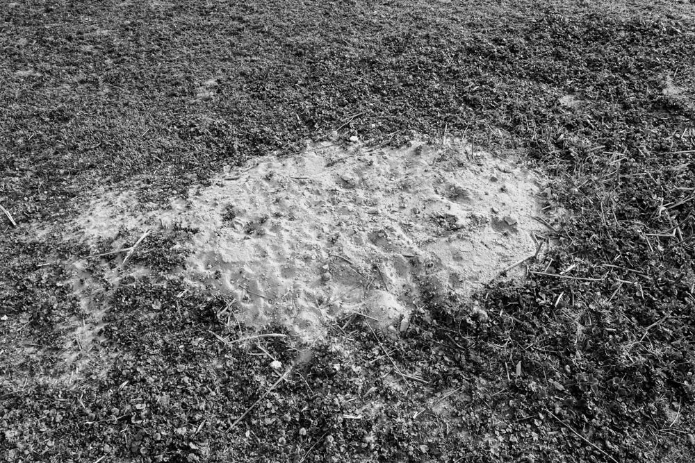 sporen en tekens 9 | 2026 | fine art print | 45 x 30cm