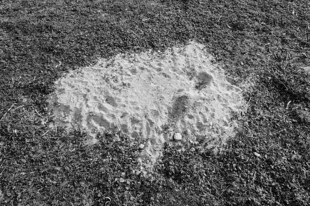 sporen en tekens 7 | 2026 | fine art print | 45 x 30cm