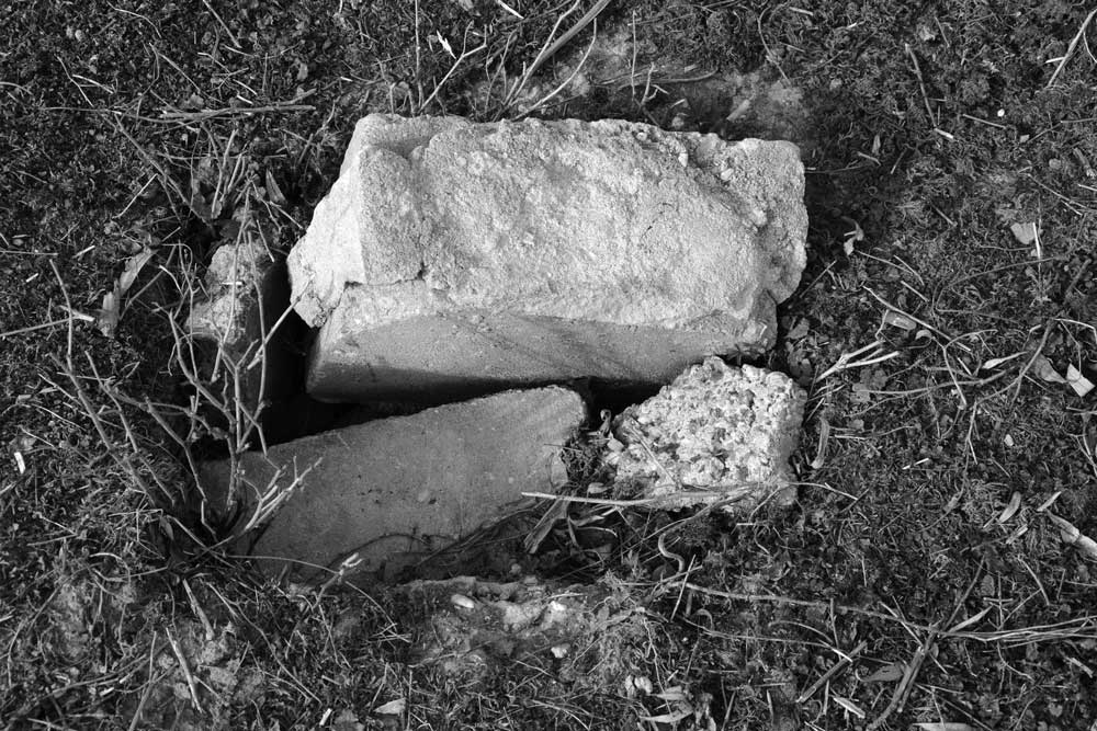 sporen en tekens 3 | 2026 | fine art print | 45 x 30cm