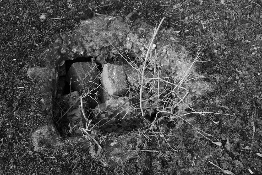 sporen en tekens 4 | 2026 | fine art print | 45 x 30cm