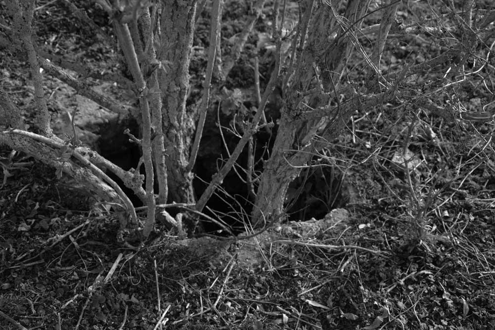 sporen en tekens 5 | 2026 | fine art print | 45 x 30cm